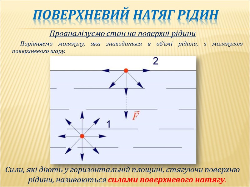 Поверхневий натяг рідин  Проаналізуємо стан на поверхні рідини     